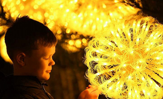 Yorkshire Wildlife Park unveils Christmas magic as spectacular light and lantern festival commences