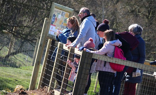 Visitors were greeted with new animals and a new reserve as the award-winning Yorkshire Wildlife Park reopens.