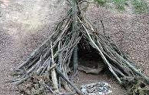 Build a den