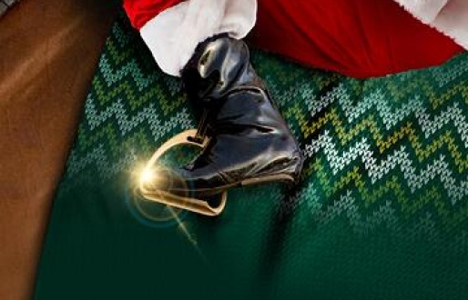 Christmas Jumper Raceday