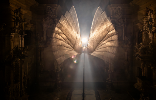 Festival of Light