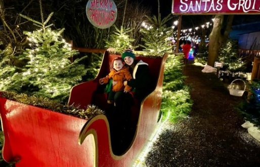 Christmas at Boston Park Farm
