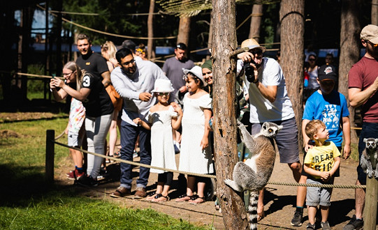 Doncaster attraction, Yorkshire Wildlife Park, receives Visit England Gold Award for visitor attractions