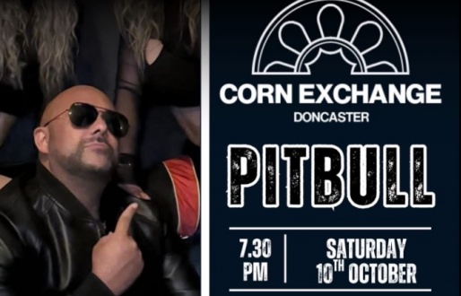 Pitbull & Dancers