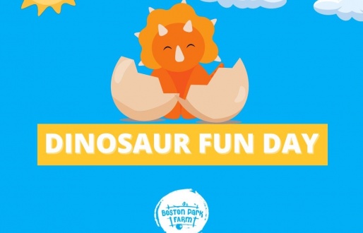 Dinosaur Fun Day at Boston Park Farm