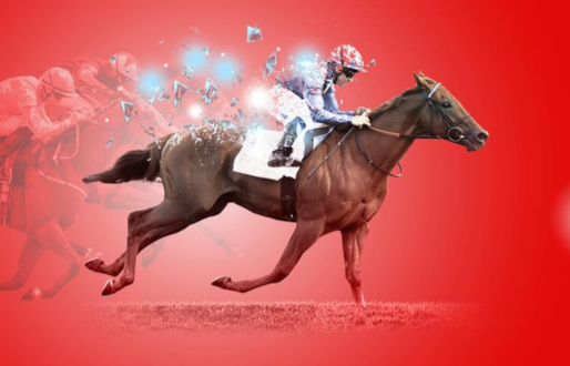 Winter Afternoon Jump Racing