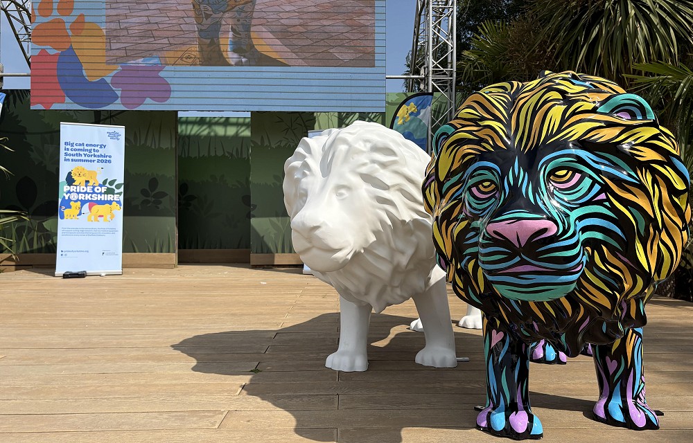 Sheffield Children's Hospital Charity Launches South Yorkshire Wide Sculpture Trail To Celebrate 150 Years
