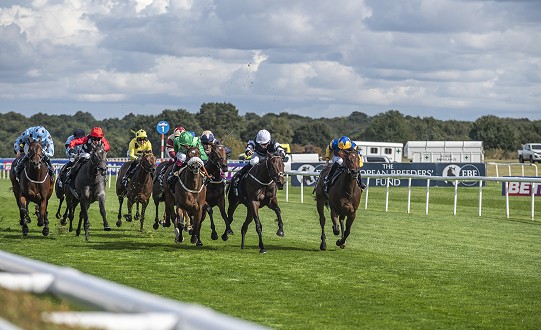 Celebrate 250 Years of the St Leger in Doncaster