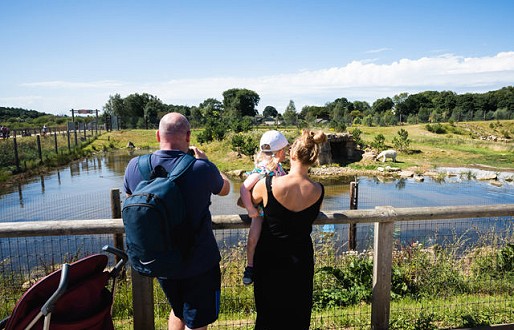 Father's Day at Yorkshire Wildlife Park