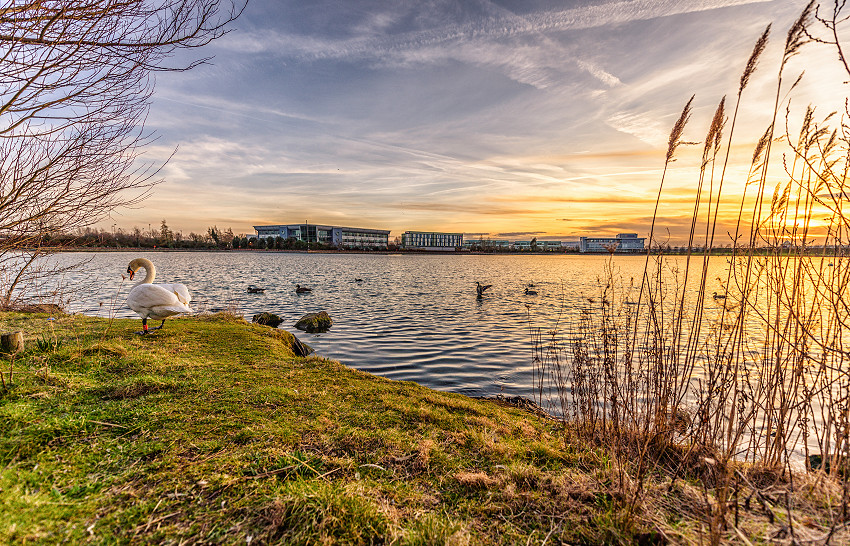 February Half Term in Doncaster