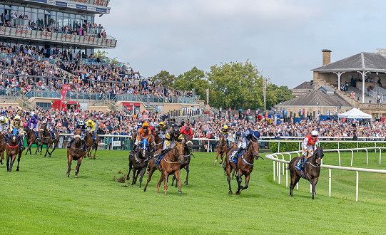 50 DAYS TO GO UNTIL THE  BETFRED ST LEGER FESTIVAL