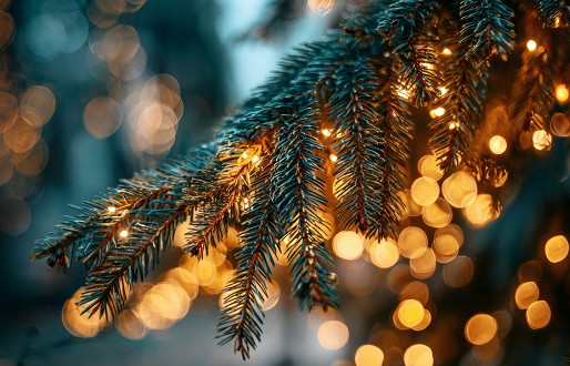 Minster Christmas Fair