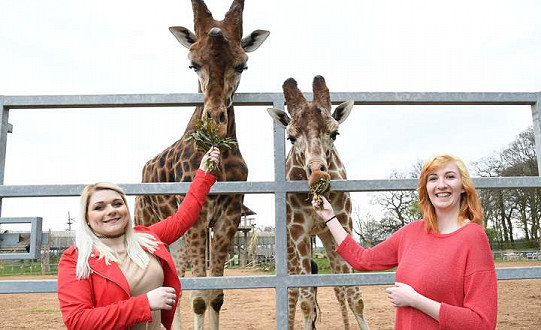 Doncaster's Award-winning Yorkshire Wildlife Park is lifting Christmas spirits with a unique range of festive gifts!