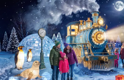 Winter Illuminations at Yorkshire Wildlife Park