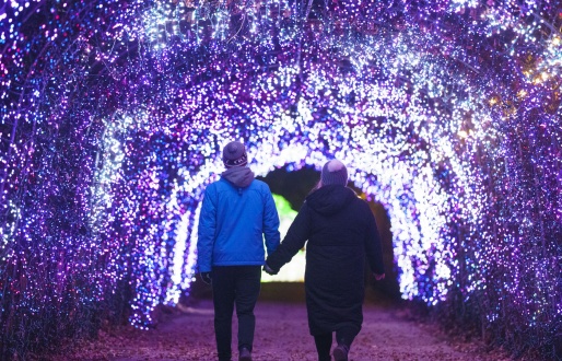 Winter Illuminations at Yorkshire Wildlife Park