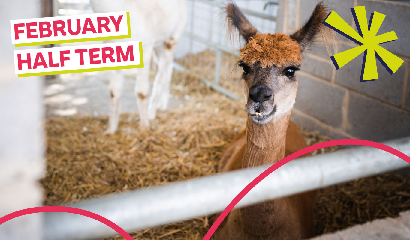 February Half Term in Doncaster