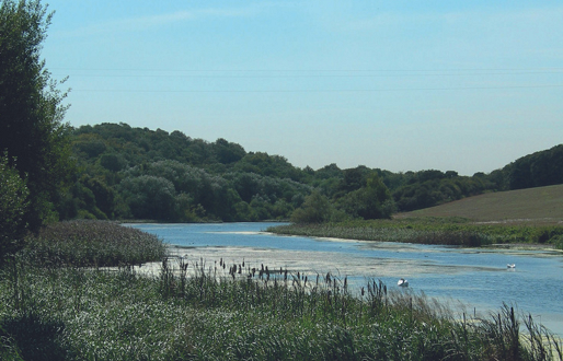 Sprotbrough Flash Nature Reserve