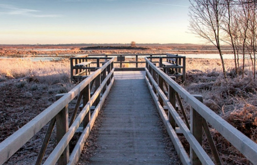 Humberhead Peatlands National Nature Reserve,  Thorne & Hatfield Moors