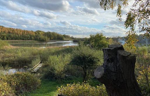 Thorpe Marsh Nature reserve