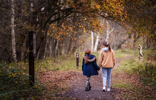 Potteric Carr Nature Reserve