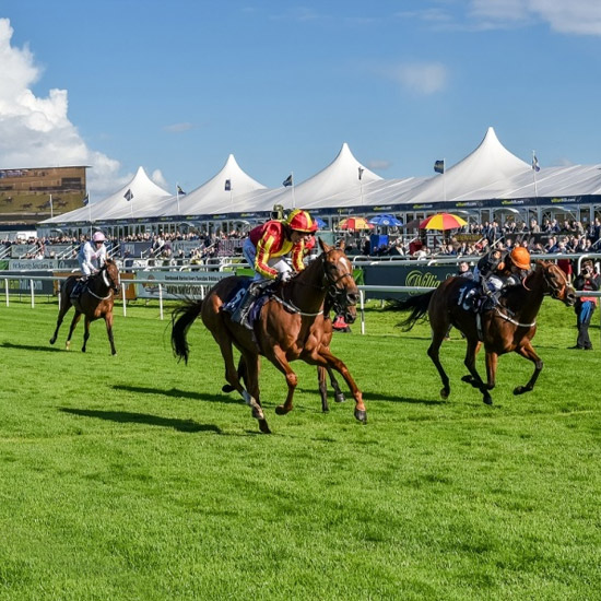 Doncaster Racecourse