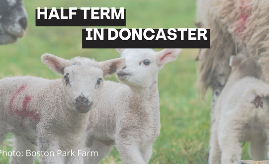 Half Term Events in Doncaster