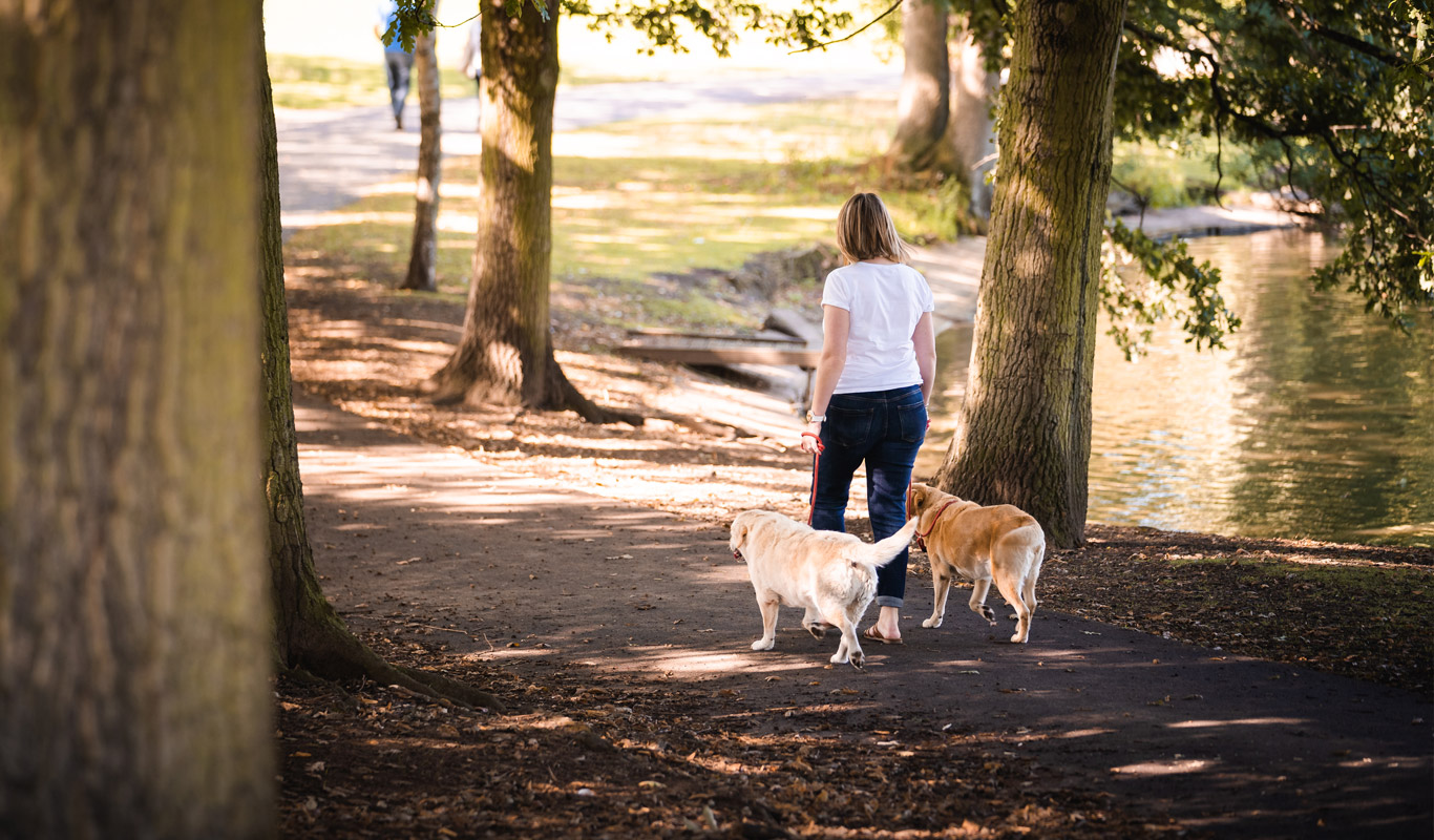 Explore Doncaster