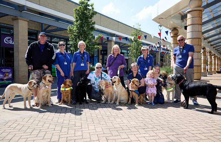 Lakeside Guide Dogs