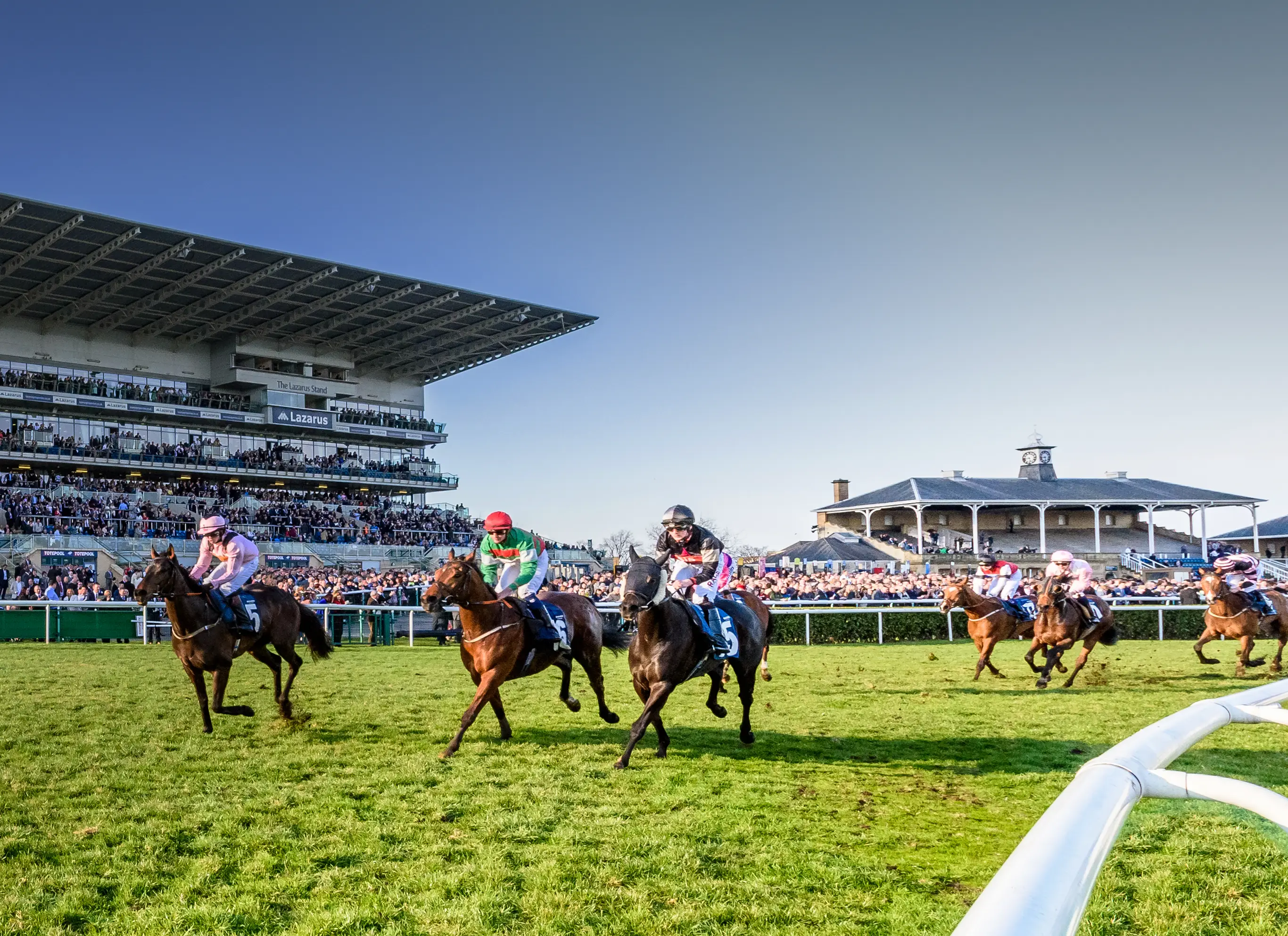 A day at the races