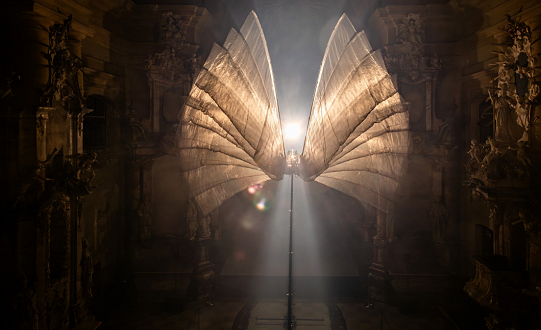 The Bird of a Thousand Voices Lands in Doncaster This November