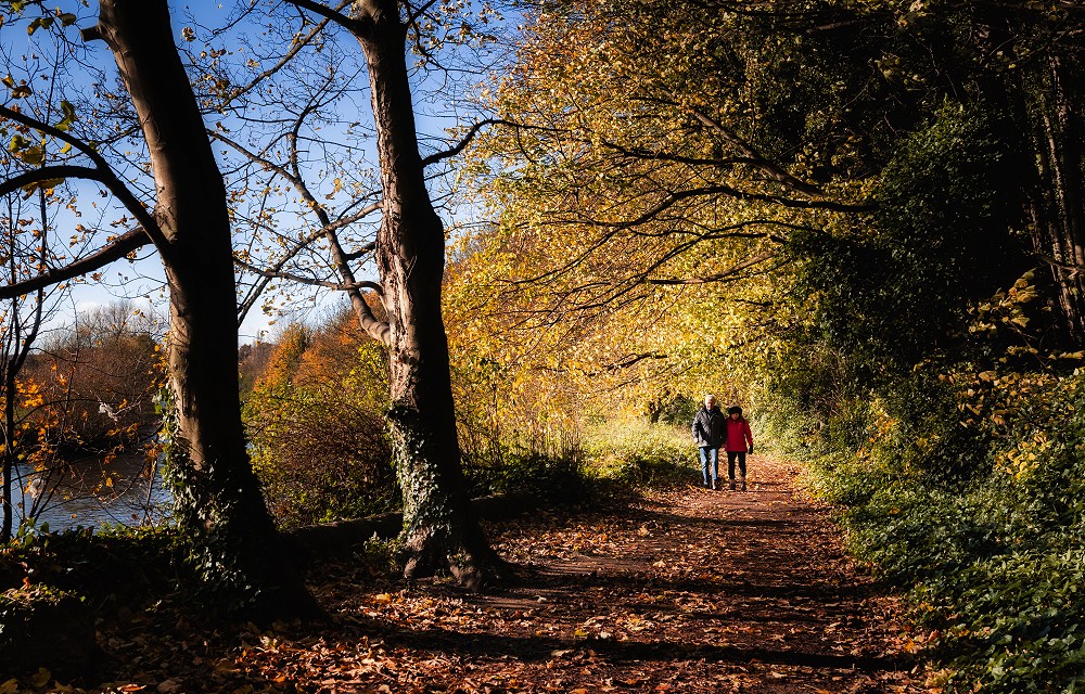 Scenic Walks Around Doncaster: Explore the Best Walking Routes