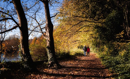 Scenic Walks Around Doncaster: Explore the Best Walking Routes