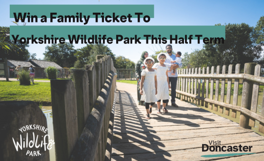 Unleash the Wild Side: Yorkshire Wildlife Park Announces Family Ticket Competition