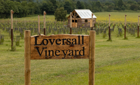 New Vineyard Tours Launching This Summer at Family-Run Farm Loversall