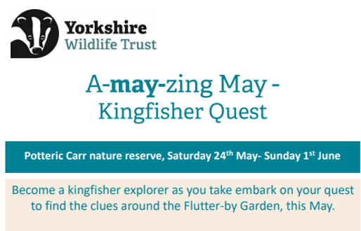 aMAYzing May at Potteric Carr Nature Reserve