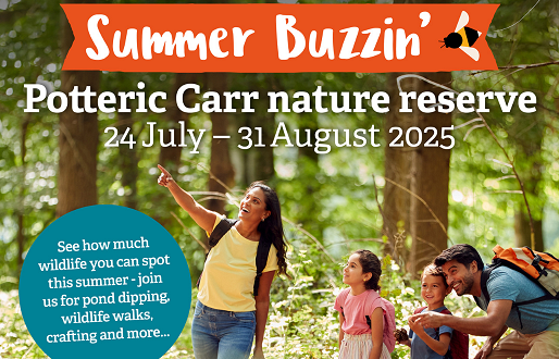 Summer Buzzin at Potteric Carr