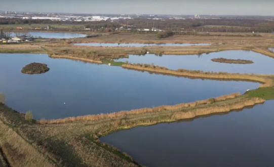 New nature reserve becomes wildlife haven next to Annabel's