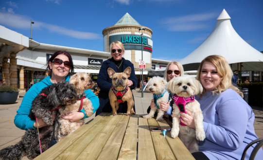 Could your dog help Lakeside Village launch its new Mutt Hut?