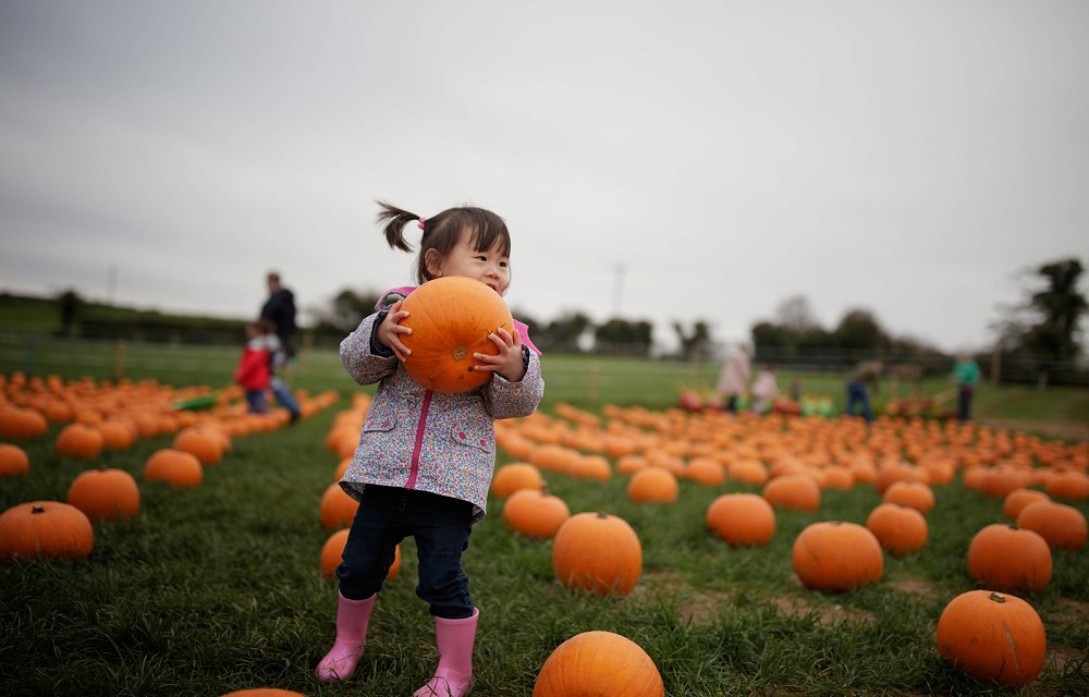 October Half Term in Doncaster: Your Guide to What's On!