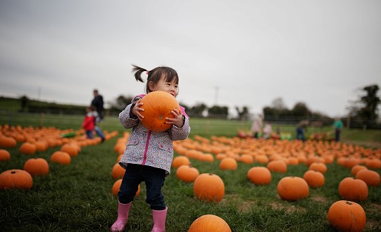 October Half Term in Doncaster: Your Guide to What's On!