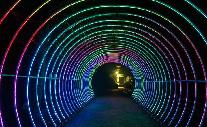 Yorkshire Wildlife Park Light Show