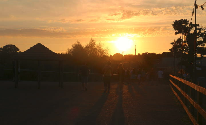 Wildlife Sunset in Doncaster